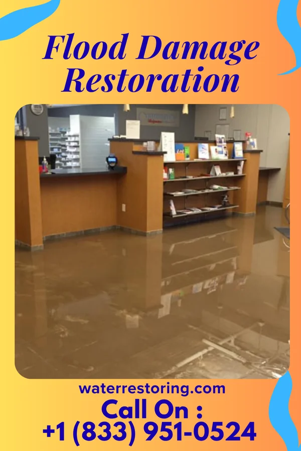 Flood Damage Restoration in Linntown, PA