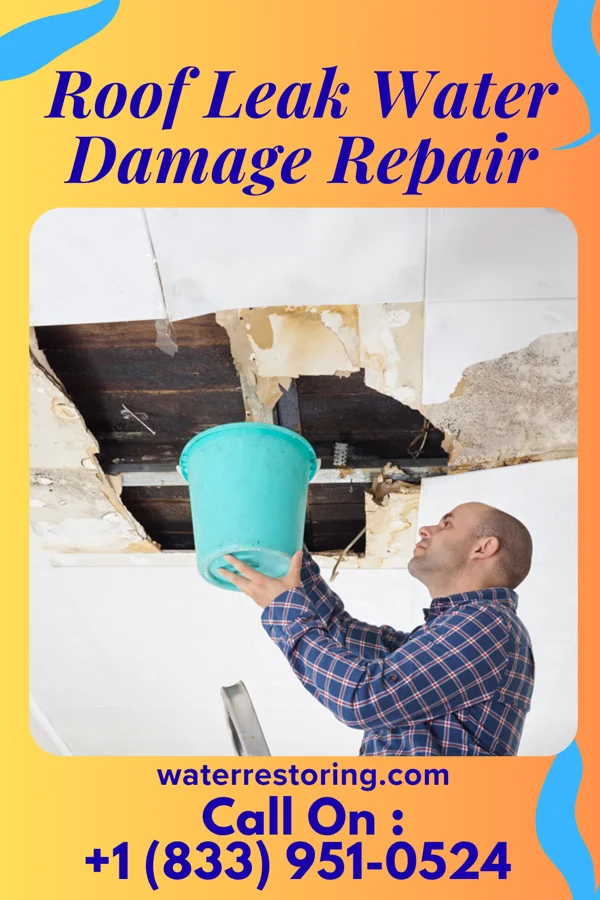Roof Leak Water Damage Repair in Linntown, PA