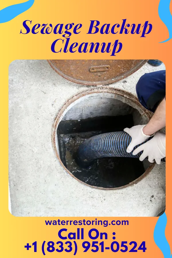 Sewage Backup Cleanup in Linntown, PA