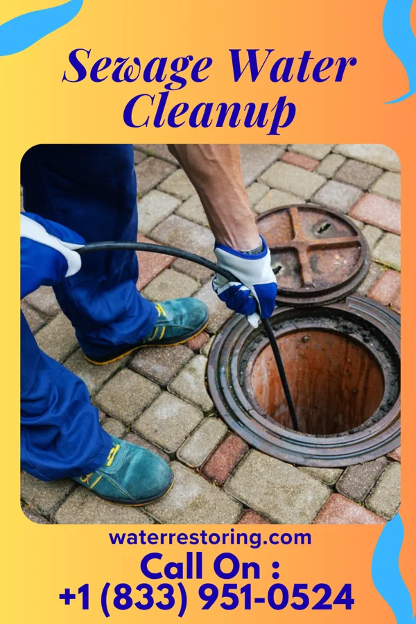 Sewage Water Cleanup in Linntown, PA